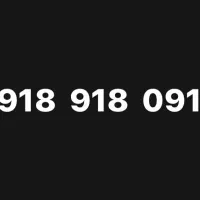 ۰۹۱۸ ۹۱۸ ۰۹۱۸