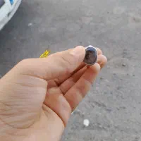 انگشتر شجر و درنجف