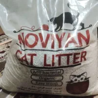 خاک گربه