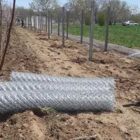 فنس کشی و نصب تیرچه|خدمات باغبانی و درختکاری|ابهر, |دیوار