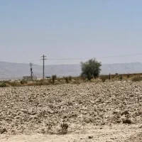 اجاره ی زمین ۱۹هکتاری چاه برقی