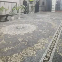 فرش دوازده متری|فرش|زابل, |دیوار