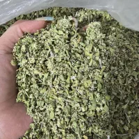 آویشن از کوه چیده شده عطروبوش  مستت میکنه