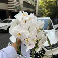 آموزش گل آرایی تشریفات|خدمات آموزشی|تهران, جردن|دیوار
