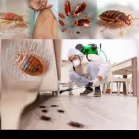 سمپاشی سوسک وحشرات