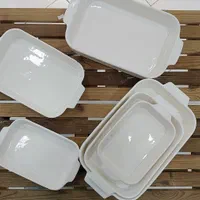 مرغ خوری،دیس،کاسه،سرامیکی