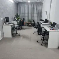 استخدام نیرو مسلط به کامپیوتر