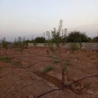 باغ-1000متری-در-ورنامخواست