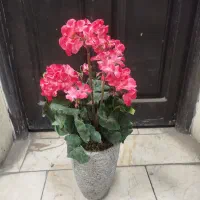 درختچه های مصنوعی ، همیشه ماندگار