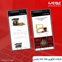 طراحی وب سایت + سئو وبسایت صفحه اول گوگل|خدمات رایانه‌ای و موبایل|تهران, جنت‌آباد شمالی|دیوار