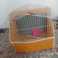 قفس کوچیک و نقلی