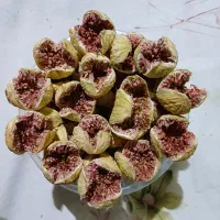 فروش انواع انجیر