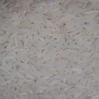 برنج|خوردنی و آشامیدنی|رشت, شالکو|دیوار