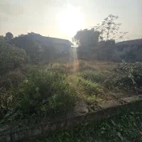 فروش زمین ۳۸۶متری در اوشیان