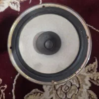 باند پژو