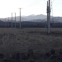 فروش باغ و دامداری|فروش دفتر صنعتی، کشاورزی، تجاری|بوئین زهرا, |دیوار