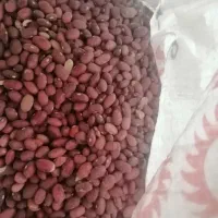 لوبیا قرمز  درجه یک به شرط|خوردنی و آشامیدنی|شیراز, رکن‌آباد|دیوار