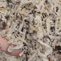 تفاله چغندر تازه به صورت فله|لوازم جانبی حیوانات|بشاریات, |دیوار