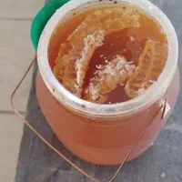 عسل کردستان