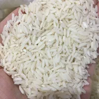 ۳۵۰کیلو برنج هاشمی