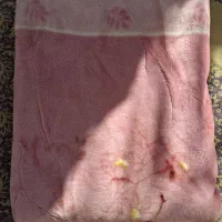 پتو ژاپنی استوک (در حد نو )|رختخواب، بالش، پتو|برازجان, |دیوار