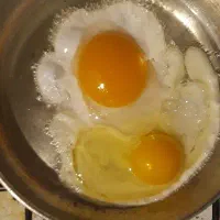 ۲ عدد اردک ماده تخم گذار بالغ|حیوانات مزرعه|شیروان (خراسان), |دیوار