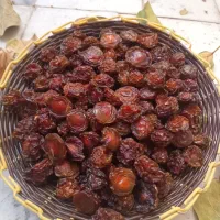 آلوچه خشک برقانی|خوردنی و آشامیدنی|اصفهان, جلفا|دیوار
