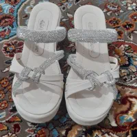 دمپایی مجلسی|کیف، کفش، کمربند|انبارآلوم, |دیوار