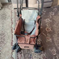 کالسکه دلیجان