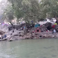 ماهی قزل آلا عمده ۵۰۰گرم فروشی