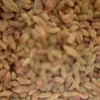 کشمش ومویز|خوردنی و آشامیدنی|نیشابور, شریعتی|دیوار