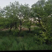 هم-فروش-هم-معاوضه-خونه-باغ-حاجی-آباد-نجف-آباد