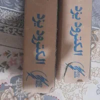 الکترود ۶۰۱۳ یزد