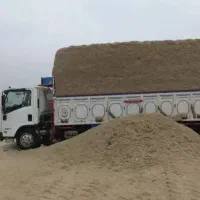 کاه نیشکر گاوی و گوسفندی خالص و مقوی