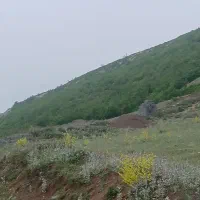 کلاردشت ویو بی نظیر شهرکی آب و برق با نگهبانی|فروش زمین و ملک کلنگی|کلاردشت, |دیوار