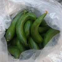 خیار درجه ۲ سبزی آماده بسته بندی شده