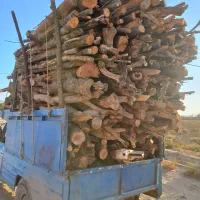 خریدانواع چوب بابالاترین قیمت