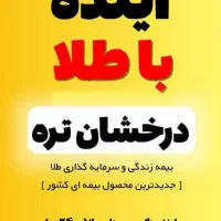 طرح طلا سرمایه گذاری مطمن