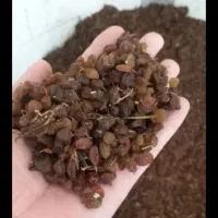 خرید. وفروش کشمش