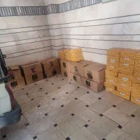 لنت ترمز کفشکی نیسان|قطعات یدکی و لوازم جانبی|قزوین, |دیوار