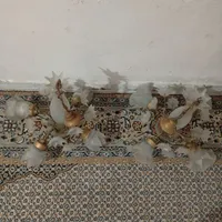 لوستر شیشه ای