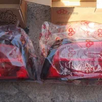 کاسه چراغ عقب پارس