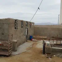 زمین-کشاورزی-و-گاوداری