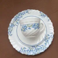 ارکوپال آلیا فرانسوی