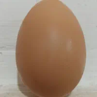 یومورتا|خوردنی و آشامیدنی|قائم‌شهر, |دیوار