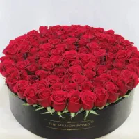 دسته گل رز ژیپسوفیلا باکس گل قیمت بازار|گل و گیاه طبیعی|تهران, آهنگ|دیوار