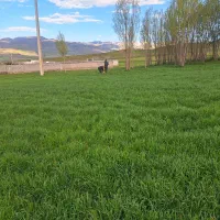 زمین-روستایی-قابل-ساخت