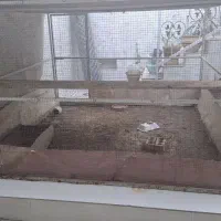 قفس مخصوص مرغ و پرنده،تمیز و سالم