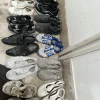 ۱۲ جفت کفش