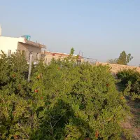 باغچه قطره ای، سند دار آب شیرین|فروش دفتر صنعتی، کشاورزی، تجاری|قم, هفت تیر|دیوار